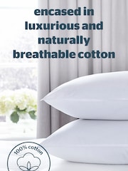 Silentnight 2 Pack Pure 100% Cotton Pillows - Image 2 of 9