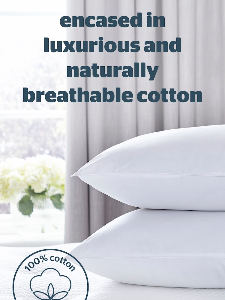 Silentnight 2 Pack Pure 100% Cotton Pillows - Image 2 of 9