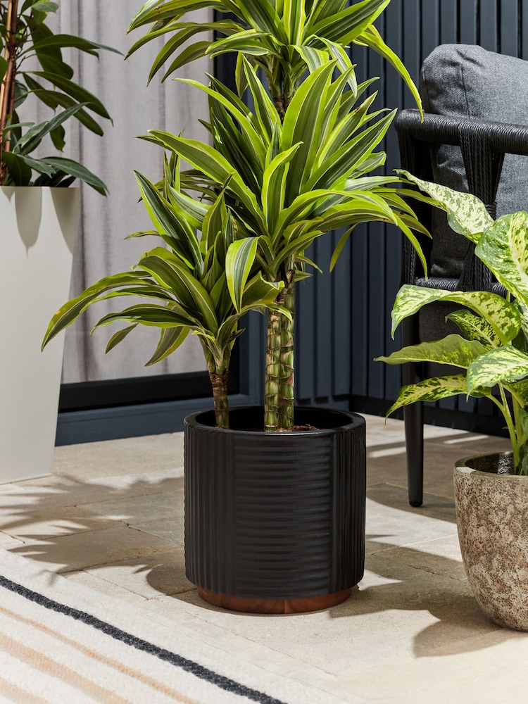 Black Outdoor Bronx Patterned Plant Pot - Image 1 of 3