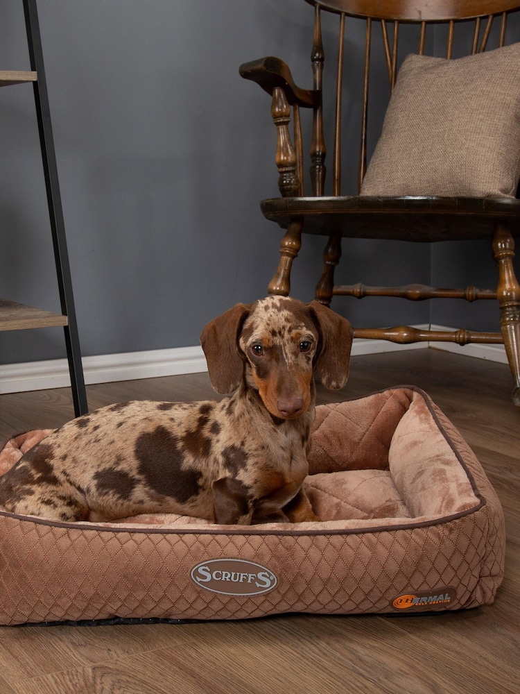 Scruffs Brown Thermal Lounger - Image 1 of 3
