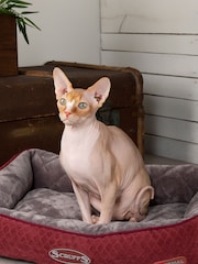 Scruffs Red Thermal Lounger - Image 1 of 3