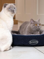 Scruffs Blue Thermal Ring Bed - Image 1 of 3