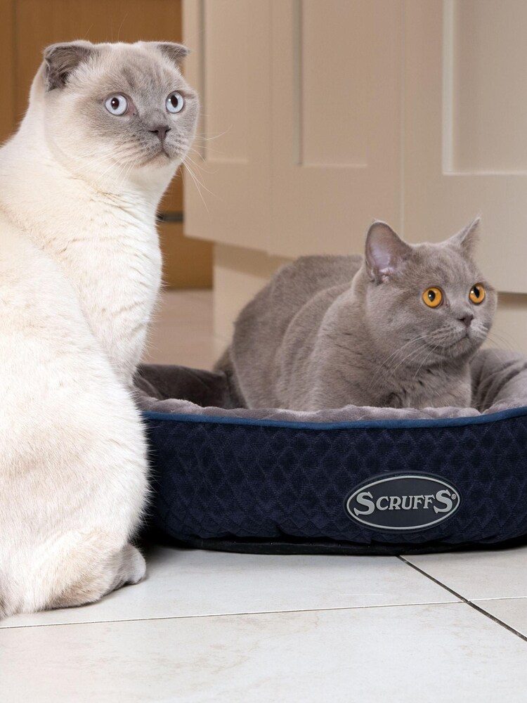 Scruffs Blue Thermal Ring Bed - Image 1 of 3