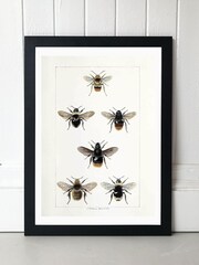 East End Prints Black British Bee Print - Image 1 of 4