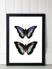 East End Prints Black Purple Butterfly Print - Image 1 of 4