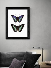 East End Prints Black Purple Butterfly Print - Image 3 of 4
