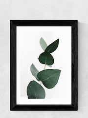 East End Prints Black Eucalyptus Print - Image 3 of 3