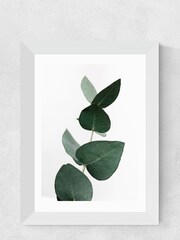 East End Prints White Eucalyptus Print - Image 2 of 2