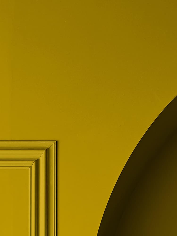 Graham & Brown Toucan Yellow Matt Emulsion Paint - Image 3 of 3