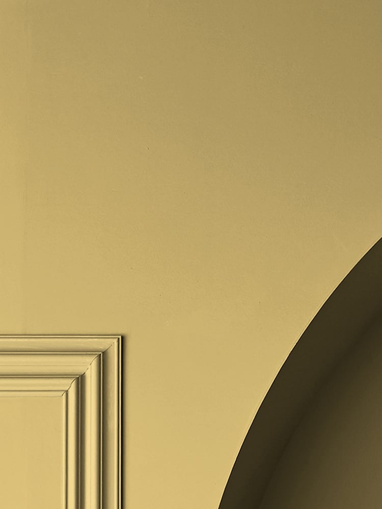 Graham & Brown Tutti Frutti Yellow Matt Emulsion Paint - Image 3 of 3