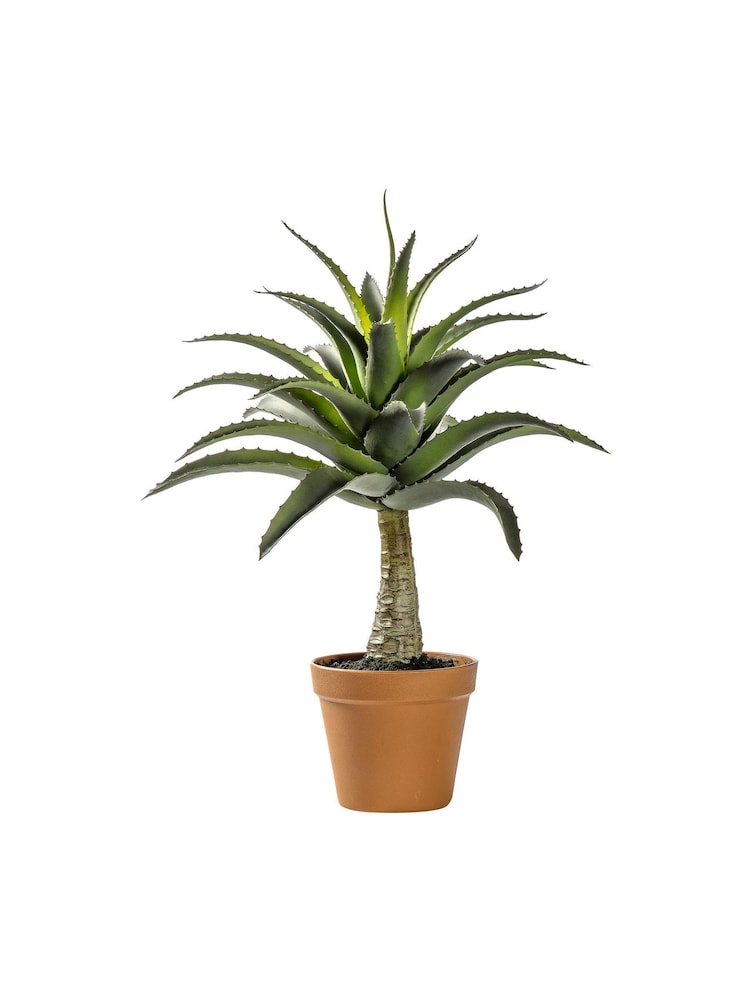 Gallery Home Green Artificial Agave Plant In Pot - Image 1 of 1