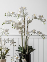 Gallery Home White Artificial Orchid In Pot - Image 1 of 2