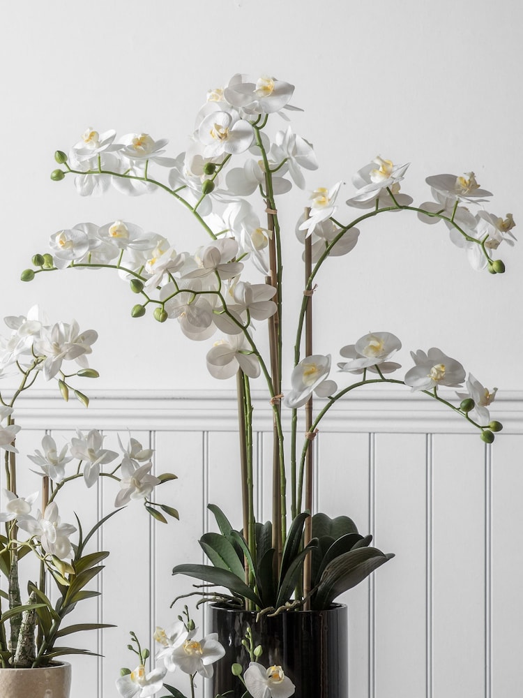 Gallery Home White Artificial Orchid In Pot - Image 1 of 2