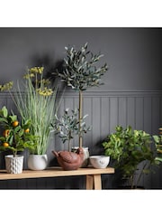 Gallery Home Green Artificial Medium Olive Tree In Pot - Image 3 of 5