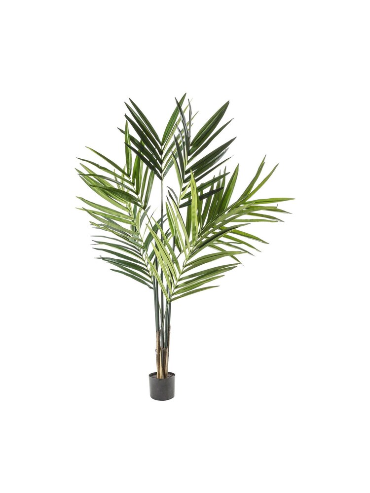 Gallery Home Green Artificial Kentia Palm Tree In Pot - Image 1 of 1 Gallery Home Green Artificial Kentia Palm Tree In Pot - Image 1 of 1