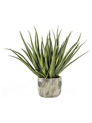 Gallery Home Green Artificial Wide Leafed Aloe Plant In Pot - Image 1 of 1