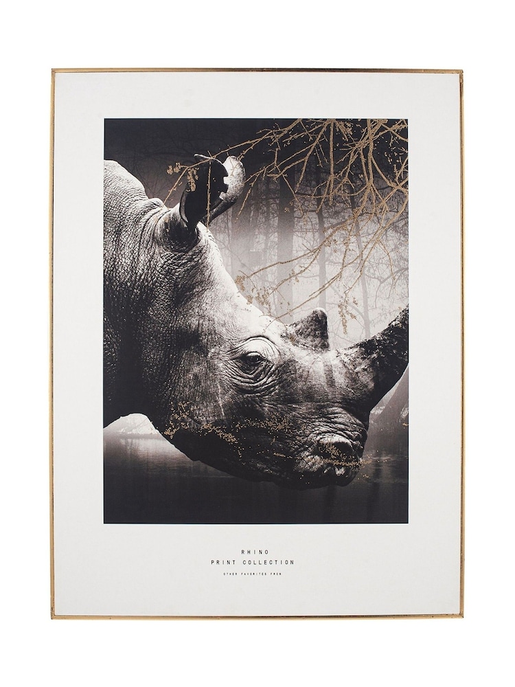 Pacific Black Mono Rhino Print With Black Frame - Image 2 of 5