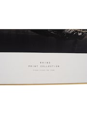 Pacific Black Mono Rhino Print With Black Frame - Image 5 of 5