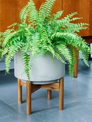 Ivyline Grey Garden Large Vigo Planter with Stand - Image 1 of 2