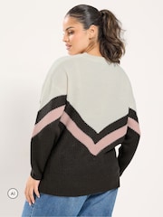 Yours Curve Brown V Neck Colourblock Jumper - Image 3 of 6