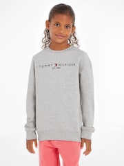 Gris - Sudadera básica de Tommy Hilfiger - Imagen 1 de 6
