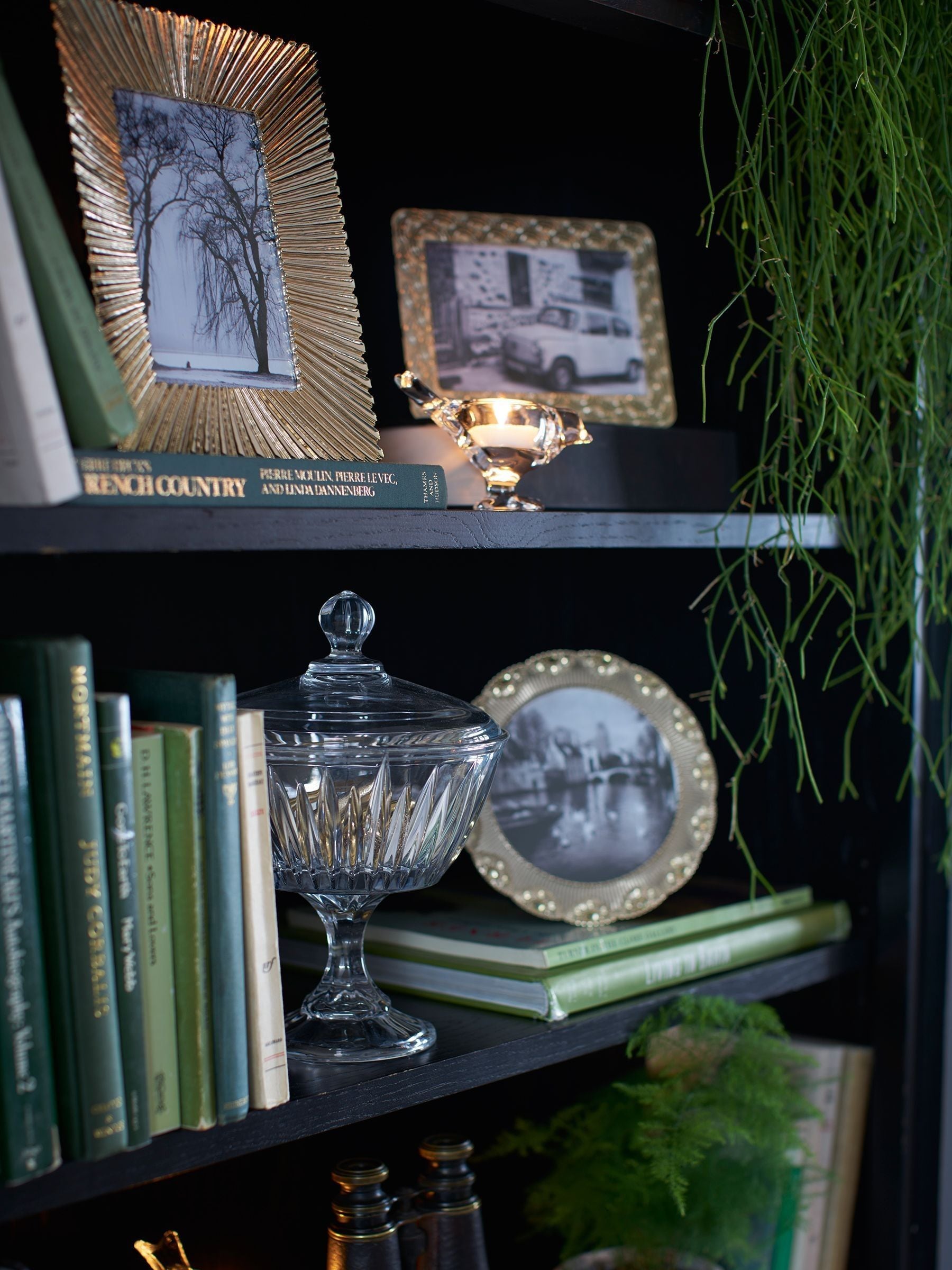 Laura ashley bookshelf sale