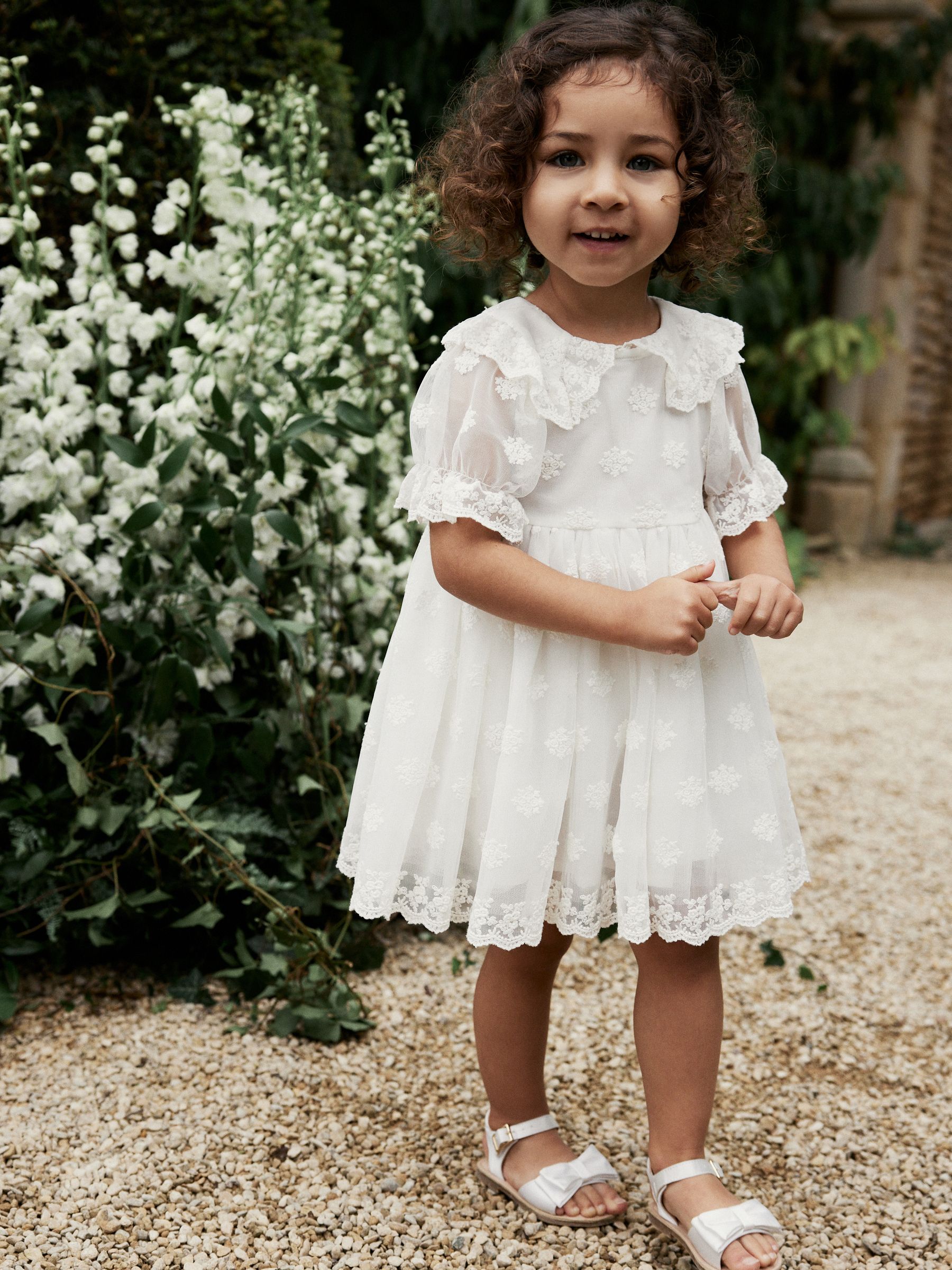 Buy Ivory Lace Occasion Dress 3mths 8yrs from Next Luxembourg