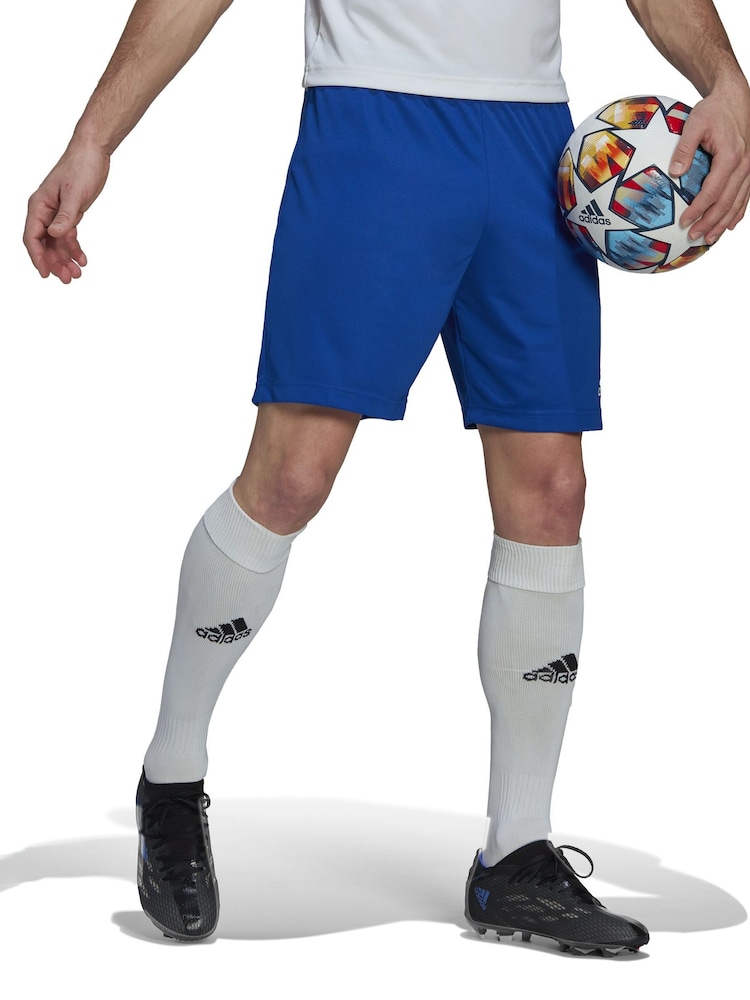 adidas Blue Entrada Shorts - Image 1 of 8