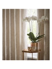 Studio G Oyster Navarra Eyelet Curtains - Image 2 of 2