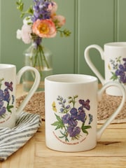 Portmeirion Multi Botanic Garden Set of 6 Coffee Mugs 10oz Larkspur - Image 1 of 2