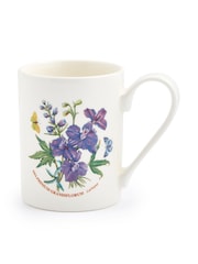 Portmeirion Multi Botanic Garden Set of 6 Coffee Mugs 10oz Larkspur - Image 2 of 2