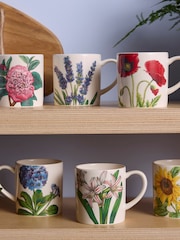Portmeirion Multi Botanic Garden Set of 6 Bloom Coffee Mugs - Image 1 of 4