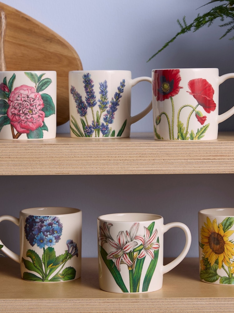 Portmeirion Multi Botanic Garden Set of 6 Bloom Coffee Mugs - Image 1 of 4 Portmeirion Multi Botanic Garden Set of 6 Bloom Coffee Mugs - Image 1 of 4