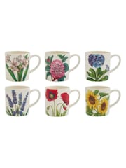 Portmeirion Multi Botanic Garden Set of 6 Bloom Coffee Mugs - Image 4 of 4
