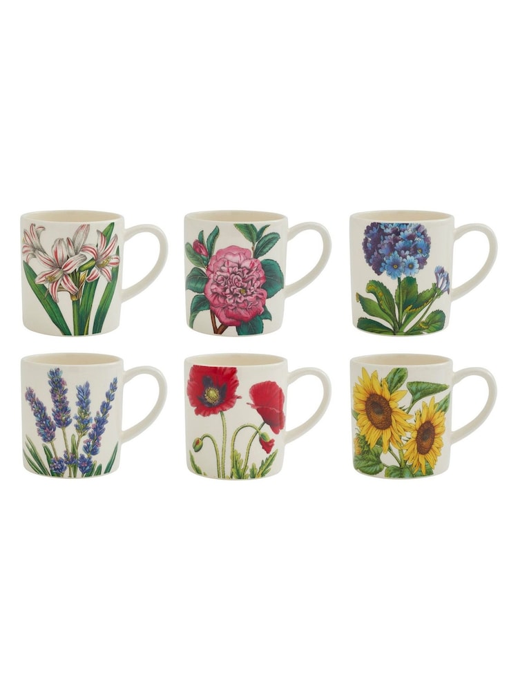 Portmeirion Multi Botanic Garden Set of 6 Bloom Coffee Mugs - Image 4 of 4 Portmeirion Multi Botanic Garden Set of 6 Bloom Coffee Mugs - Image 4 of 4