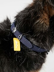 Joules Blue Small Bandana Dog Neckerchief - Image 3 of 4