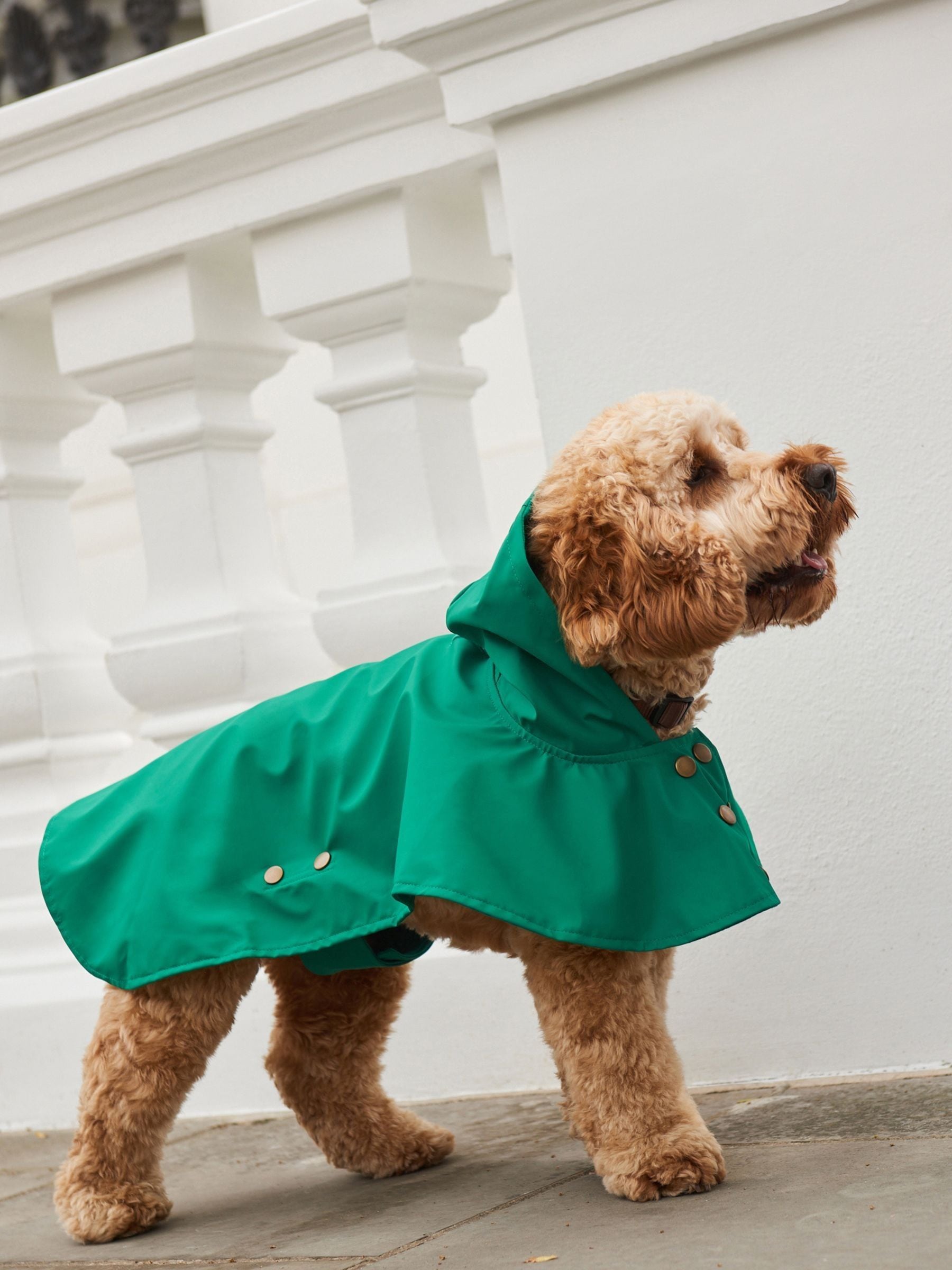 Regatta dog raincoat hot sale