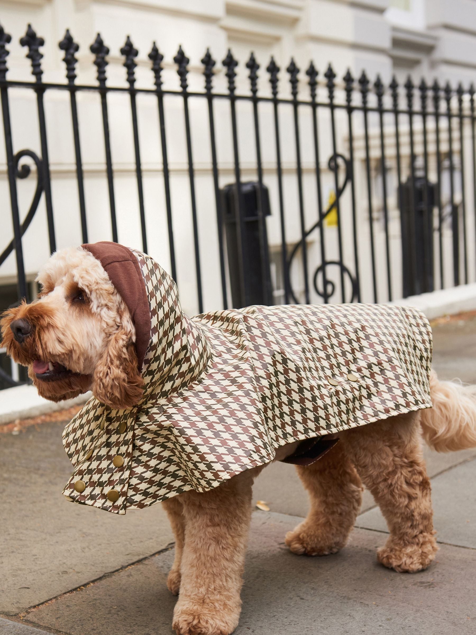 Buy Check Showerproof Dog Coat from Next Luxembourg