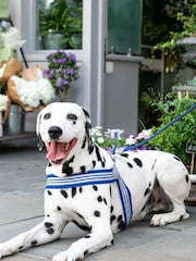 Hugo & Hudson Royal Blue Mesh Easy Dog Harness - Image 2 of 4