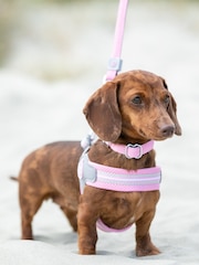 Hugo & Hudson Pink Mesh Easy Dog Harness - Image 1 of 4
