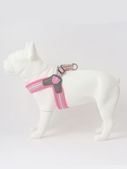 Hugo & Hudson Pink Mesh Easy Dog Harness - Image 3 of 4