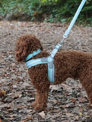 Hugo & Hudson Aqua Blue Mesh Easy Dog Harness - Image 2 of 4