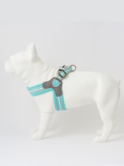 Hugo & Hudson Aqua Blue Mesh Easy Dog Harness - Image 3 of 4