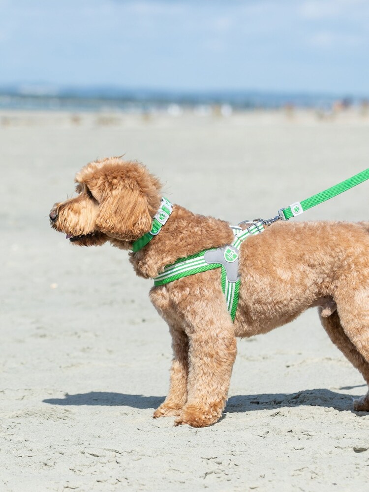 Hugo & Hudson Green Mesh Easy Dog Harness - Image 1 of 4