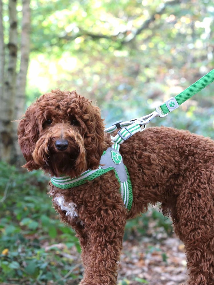 Hugo & Hudson Green Mesh Easy Dog Harness - Image 2 of 4