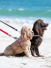 Hugo & Hudson Red Mesh Easy Dog Harness - Image 2 of 4