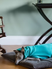 Lounging Hound Brown Travel Bed Roll in Mole Plush Velvet - Image 2 of 4
