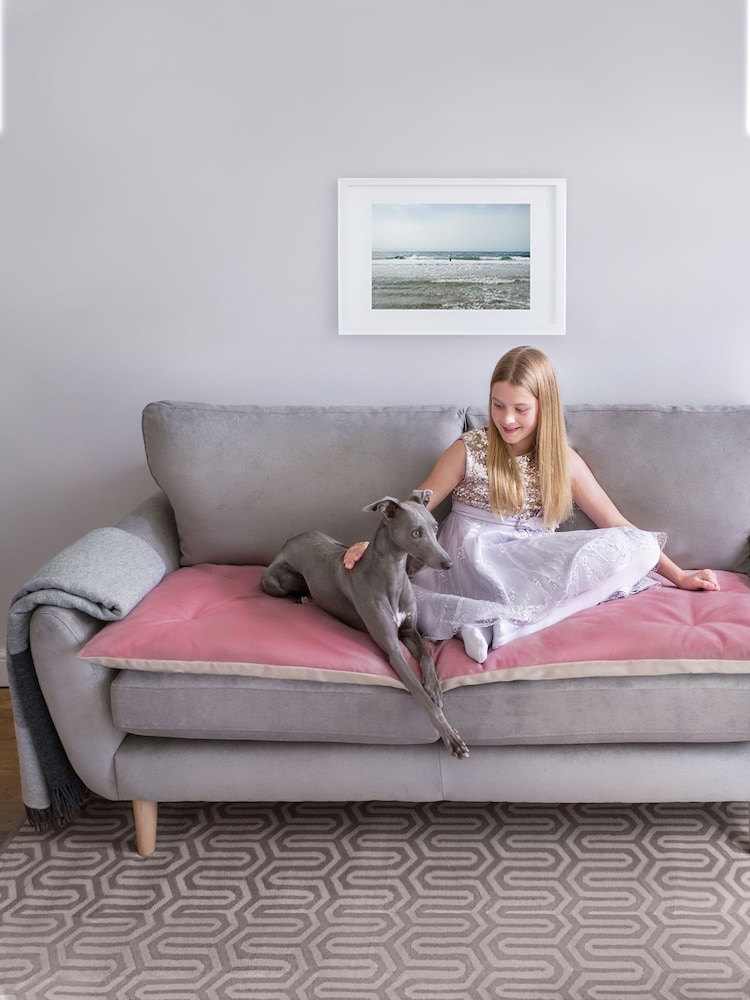 Lounging Hound Pink Sofa Protector Cushion in Blush Pink Lustre Velvet - Image 1 of 4