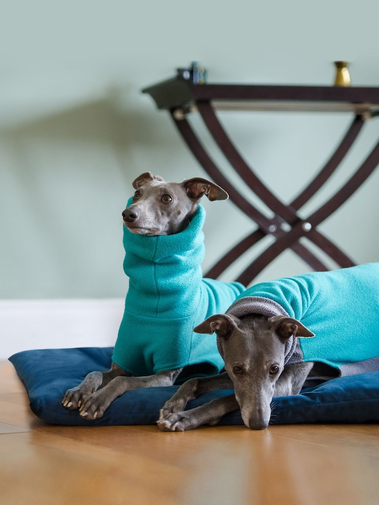 Lounging Hound Blue Travel Bed Roll in Teal Plush Velvet - Image 1 of 4