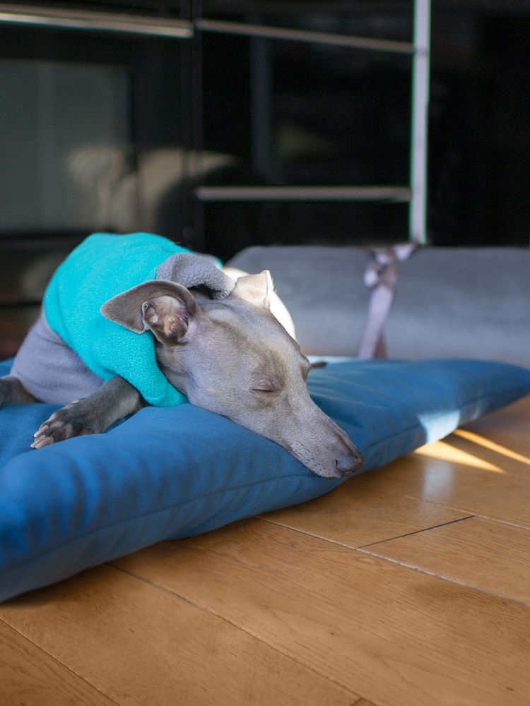 Lounging Hound Blue Travel Bed Roll in Teal Plush Velvet - Image 2 of 4